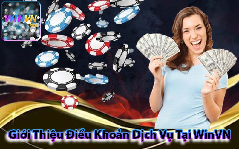 Giới Thiệu Điều Khoản Dịch Vụ Tại WinVN