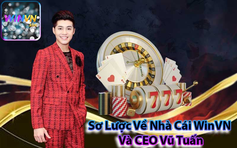 Sơ Lược Về Nhà Cái WinVN Và CEO Vũ Tuấn