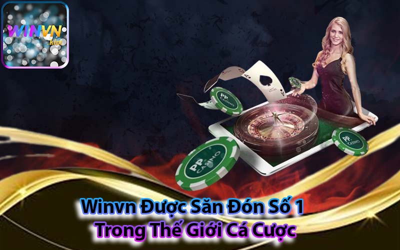 Winvn Được Săn Đón Số 1 Trong Thế Giới Cá Cược